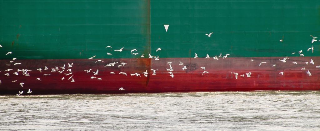 BLC_Dobberstein_Hafen_Teaser1