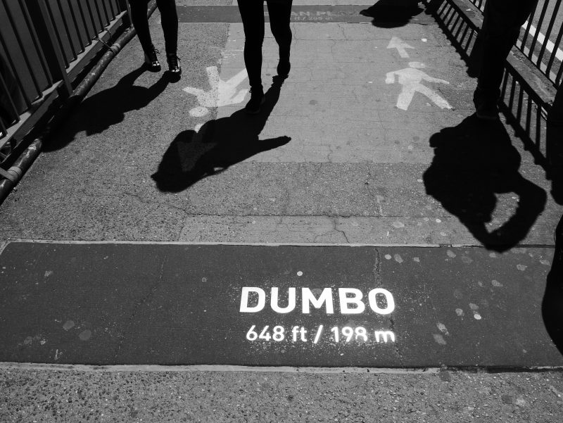NYC Dumbos Schatten