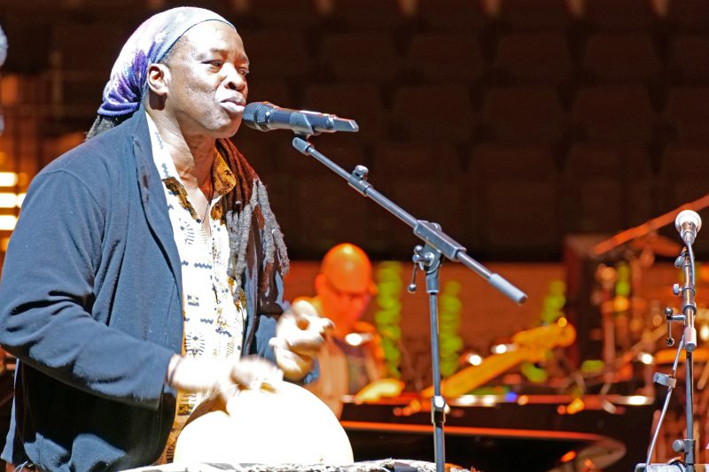 Elphi_NDR_Jazz Dobberstein Probe3