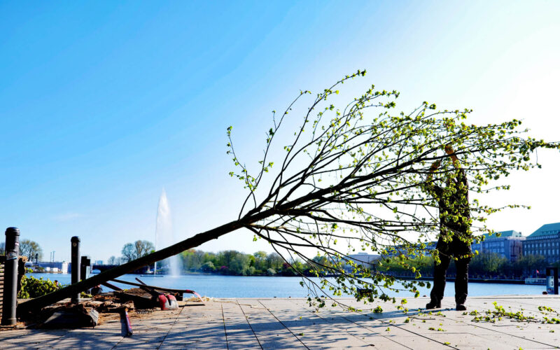 Osbahr_Jungfernstieg_Baumpflanzung 13_Dobberstein_2020_web