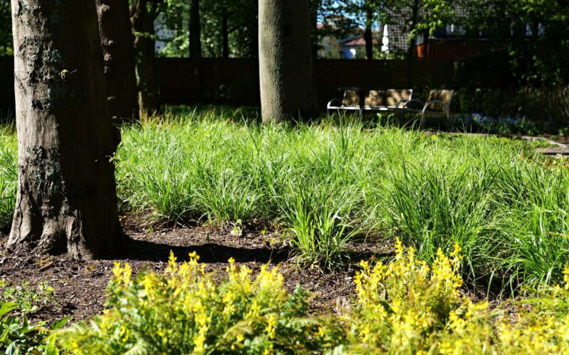 Osbahr_Lüttmelland_13_Dobberstein_2020_web