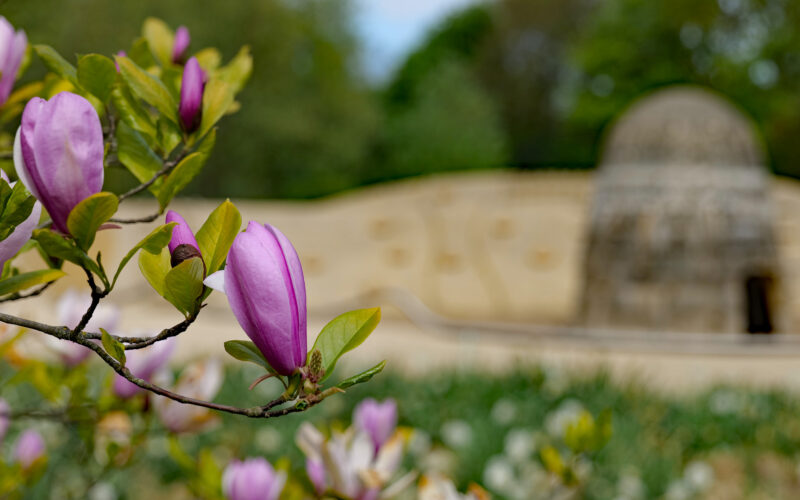 Osbahr_Wilhelmsburg_7_Dobberstein_2020_web